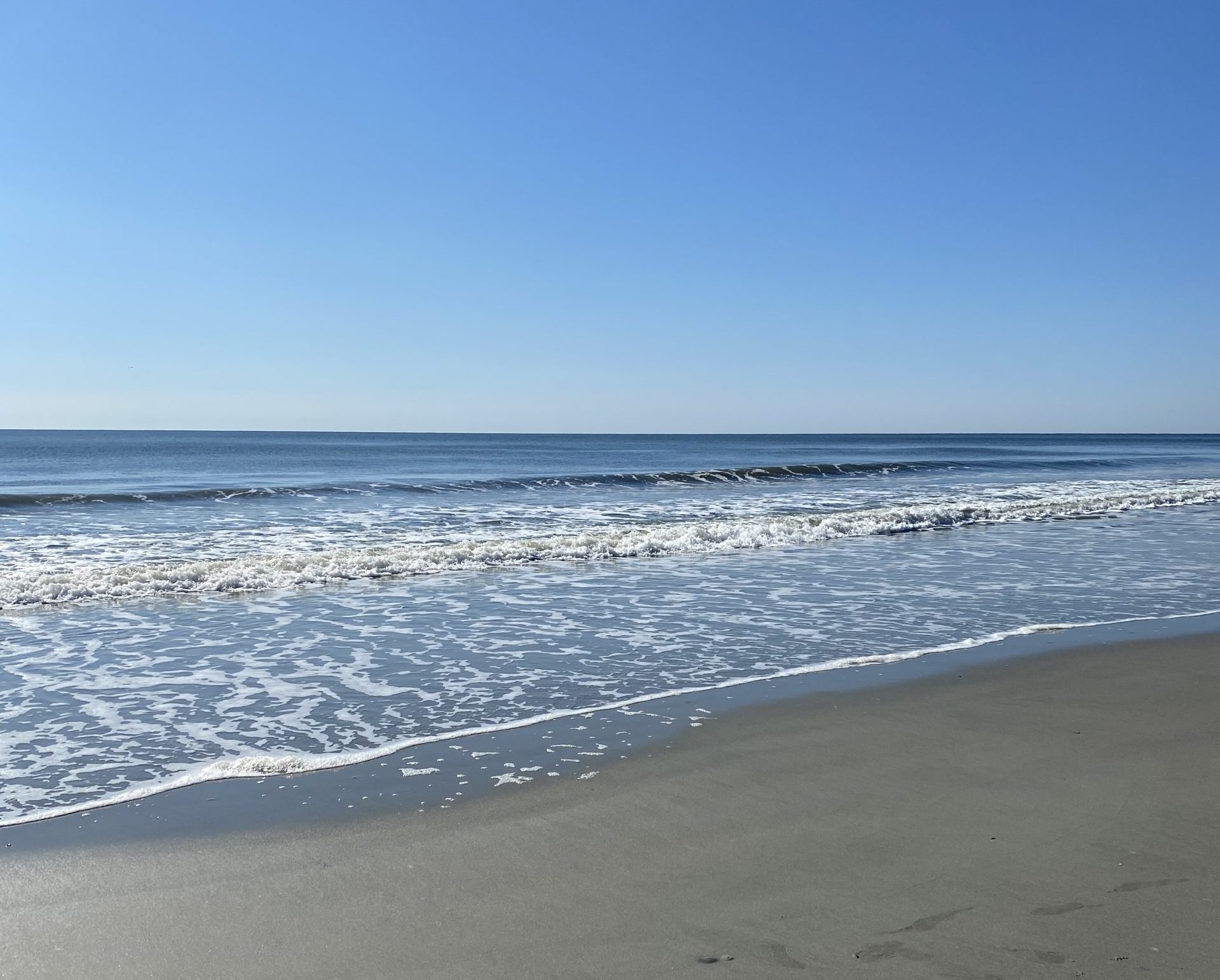 Bet You Didn’t Know These 7 People are from Myrtle Beach - Ocean Reef ...