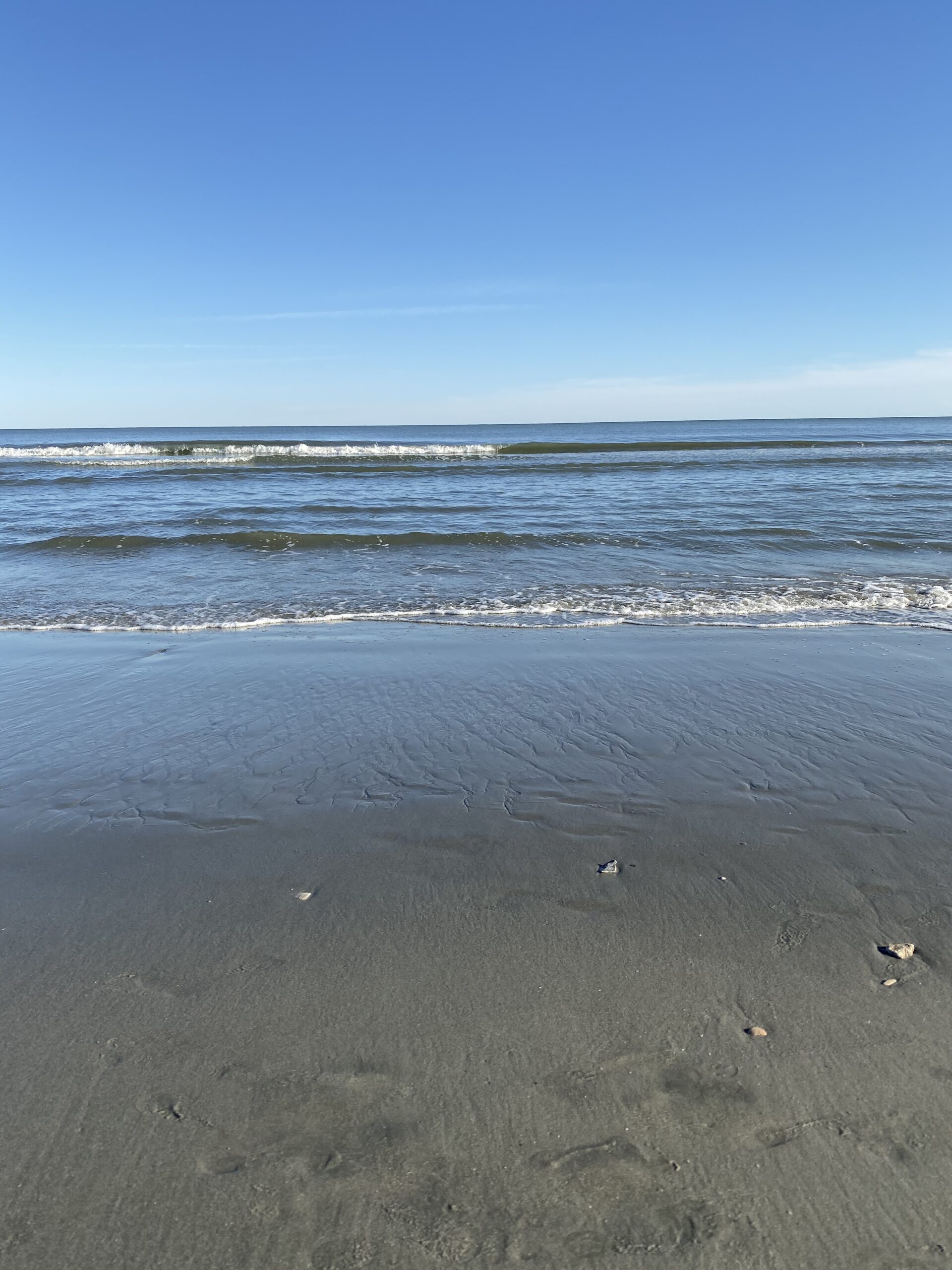 Make a Splash for the Special Olympics at Polar Plunge Myrtle Beach